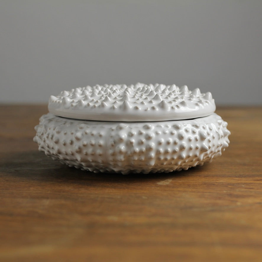 Ceramic Sea-Urchin Trinket / Cache Jar