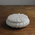 Ceramic Sea-Urchin Trinket / Cache Jar