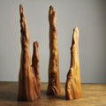 Set of 3 Cypress Knee Sculptures